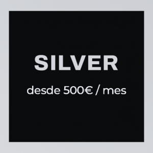 🔹 Paquete 2 – Silver (desde 500€/mes)