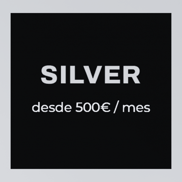 🔹 Paquete 2 – Silver (desde 500€/mes)